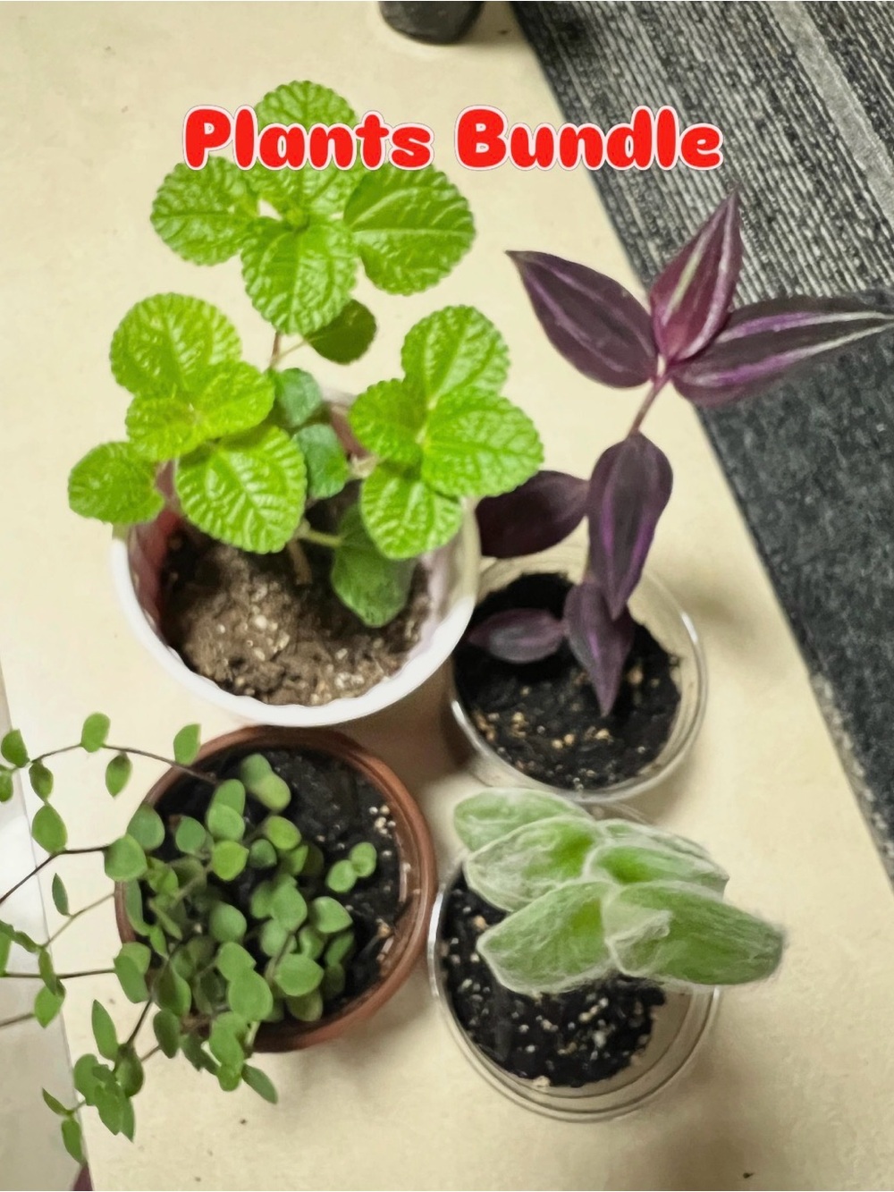 4 for $10 . Create your own bundle. Choose 4 plant starts
